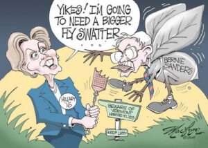 Bernie Sanders phá bĩnh không ngờ đối với Hillary. Trong hí họa này, Hillary nói, “Úi, tôi cần một cái vỉ đập ruồi to hơn rồi!”. Bảng hướng dẫn đề “Đề phòng ruồi trâu bang Vermont” và “Hãy giữ lề trái”