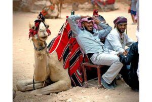 Những chàng Bedouin dạng hiền hòa dùng lạc đà chở du khách. Hình từ trang này