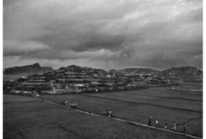 Người tỵ nạn đi ngang các đồng lúa tại trại Palongkali, Cox’s Bazar. Ảnh từ trang này